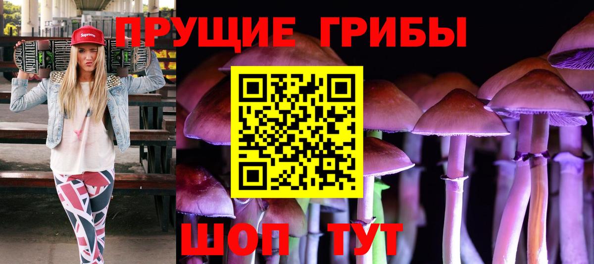 где продают   Псилоцибиновые грибы прущие грибы  Вход с VPN  Ишимбай  Псилоцибиновые грибы Psilocybe 